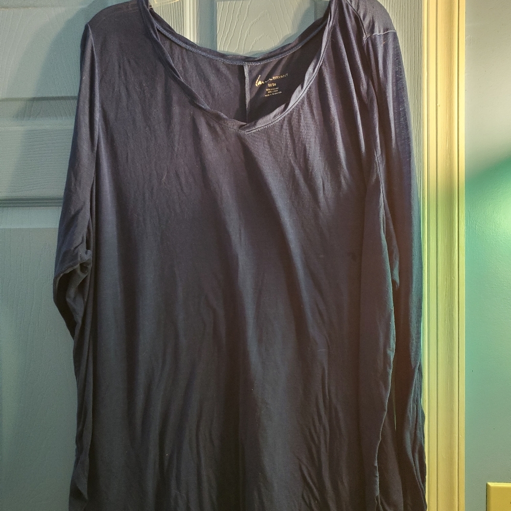 Sheer blue long sleeve Lane Bryant top